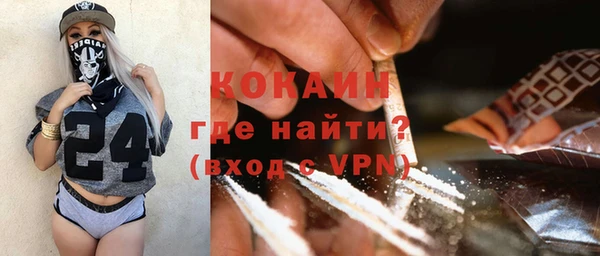 a pvp Бородино