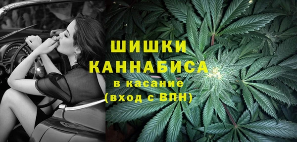 круглые Бронницы