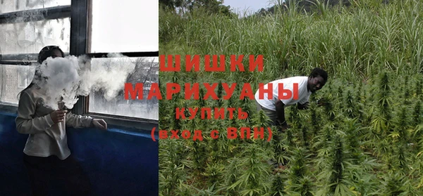 a pvp Бородино
