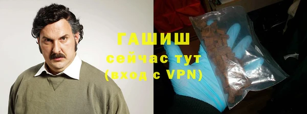 a pvp Бородино