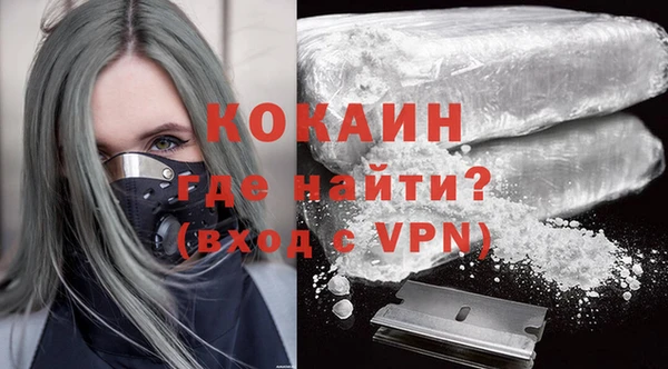 a pvp Бородино