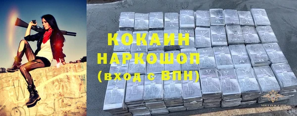 a pvp Бородино