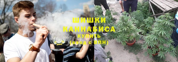 a pvp Бородино
