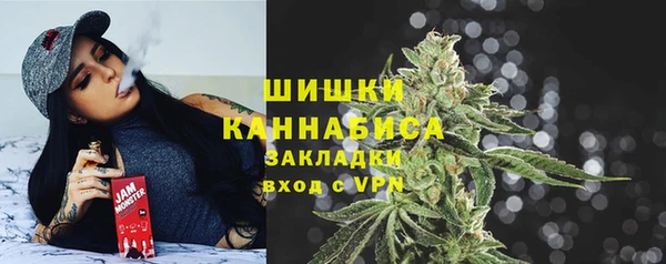 a pvp Бородино