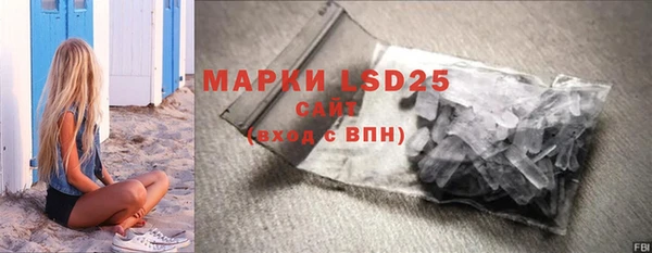 a pvp Бородино