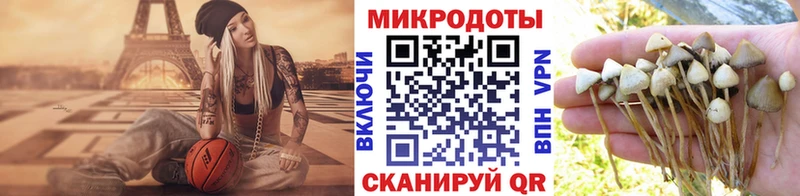 Галлюциногенные грибы мухоморы  Далматово 
